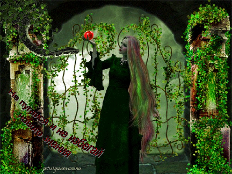 Не пугайся и не избегай нового знания